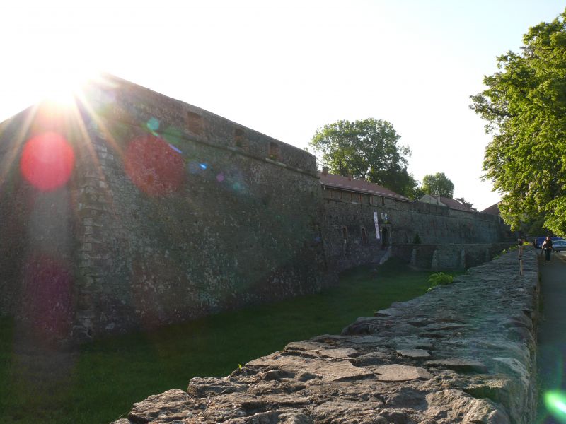 Uzhgorod Rankovij 7 Lokacij Dlya Zhajvoronkiv