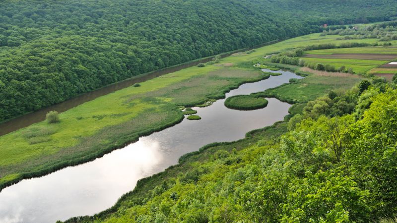 Знакомства для секса в Тернополе и Тернопольской области