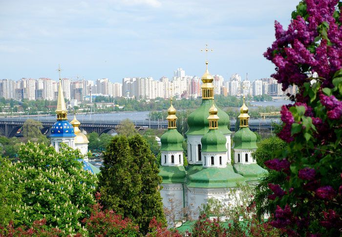 Появились фото цветущей сирени из ботанического сада имени Гришко в Киеве