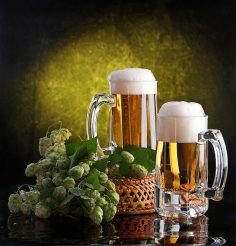 Фестиваль янтарного пива в Судаке