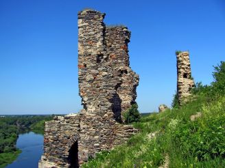 Губківський замок, Губків