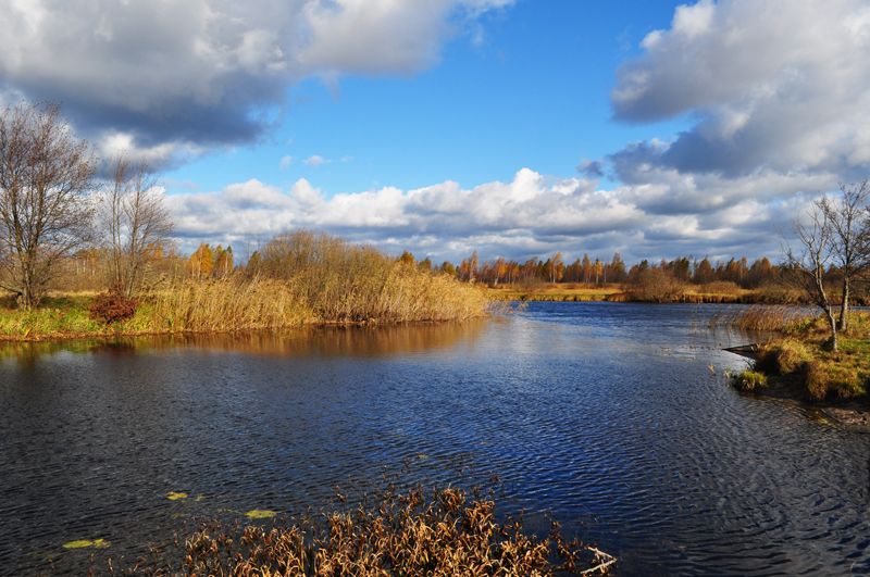 Мытищинский парк фото