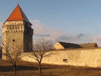 Skalat Castle