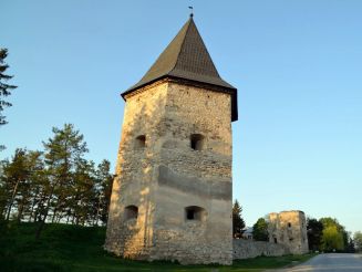 Castle Kontskih