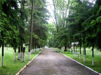 Парк «Брусницький»