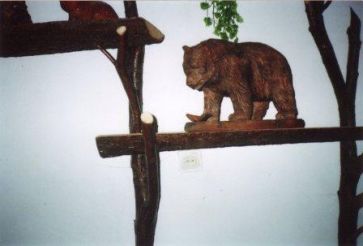 Музей бурого ведмедя, Манява