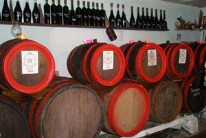 Wine Cellar of Ursta