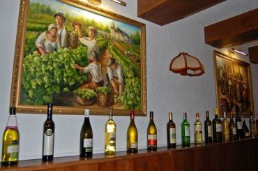 Chardonnay Wine Tasting Room