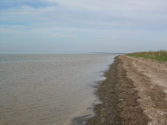 Yagorlytska ornithological reserve (Yagorlytska Bay)