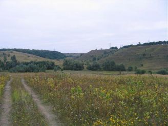 Гора Острица, Копачев
