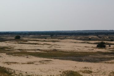 Kytsivka Desert, Kytsivka