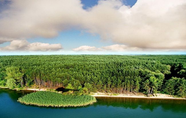 Печенег фото человек