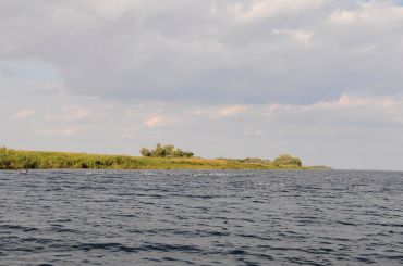 Reserve "Bakayski Islands»