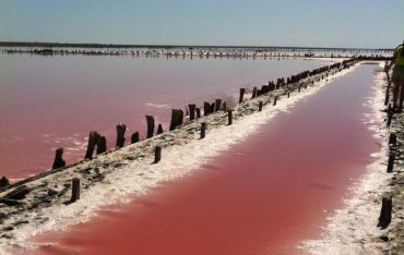 Рожеве солоне озеро, Приозерне