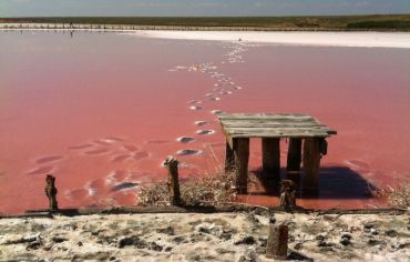 Розовое соленое озеро, Приозерное