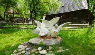 Музей «Старе село», Колочава