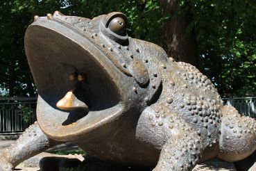 Памятник жабе, Киев