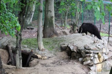 Wild animals Rehabilitation Center, Krylos