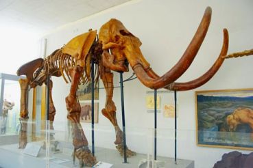The National Natural History Museum of the National Academy of Sciences of Ukraine