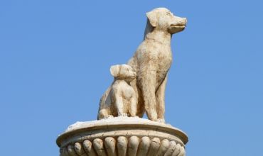 Пам'ятник «Собача балка», Бердянськ
