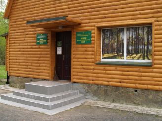 Museum of Volyn forests, spoon-billed sandpiper