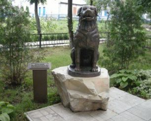 Памятник Собаке, Сумы