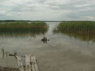 Landscape reserve Zgoranskie lake