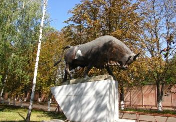 Monument to the bull, Cherkassy