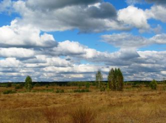 Mizhrichynskyi Regional Landscape Park