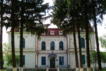 Палац Собанських, Спичинці
