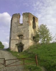 Ruins Cherlenkovskogo castle Selyshche