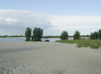 Nudist beach at Mitnica, Cherkassy