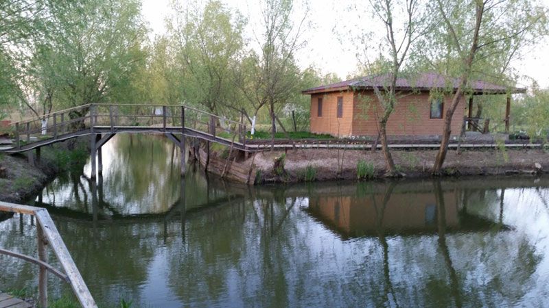 Вилково одесская область фото