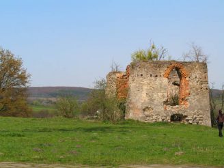 Ruins of the tower defense Svirzh