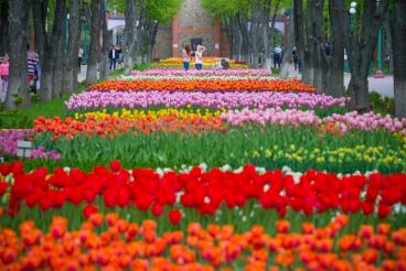 Dendrological Park in Kirovohrad