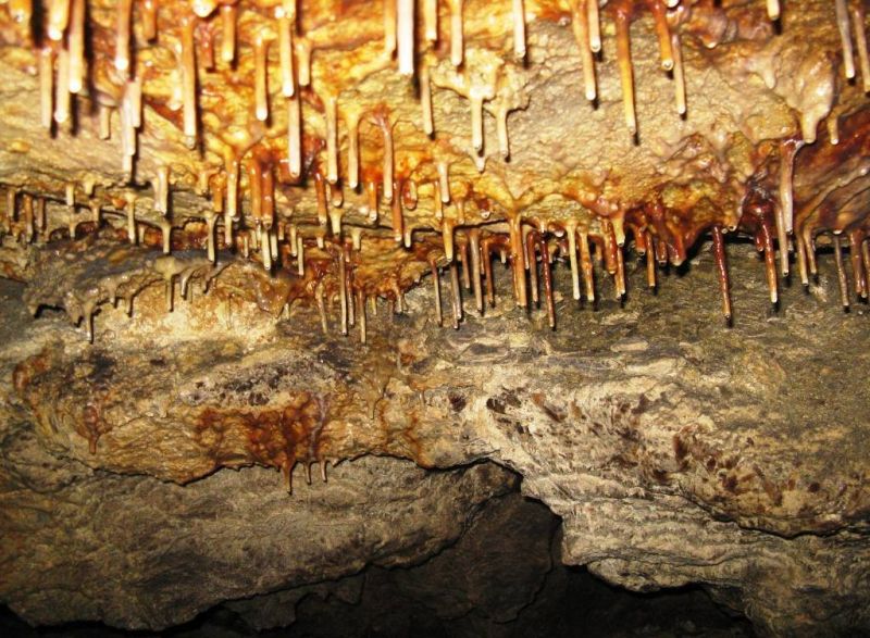 Печера Вертеба, Борщівський — фото, опис, адреса