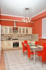 LEONIX Apartment in the heart of Lviv