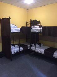 Bunk Bed in Mixed Dormitory Room