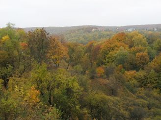 Vinnikovsky Forest Park