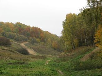 Vinnikovsky Forest Park