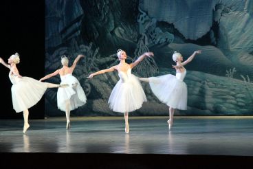 The Anatoliy Solovianenko Donets'k State Academic Opera and Ballet Theatre